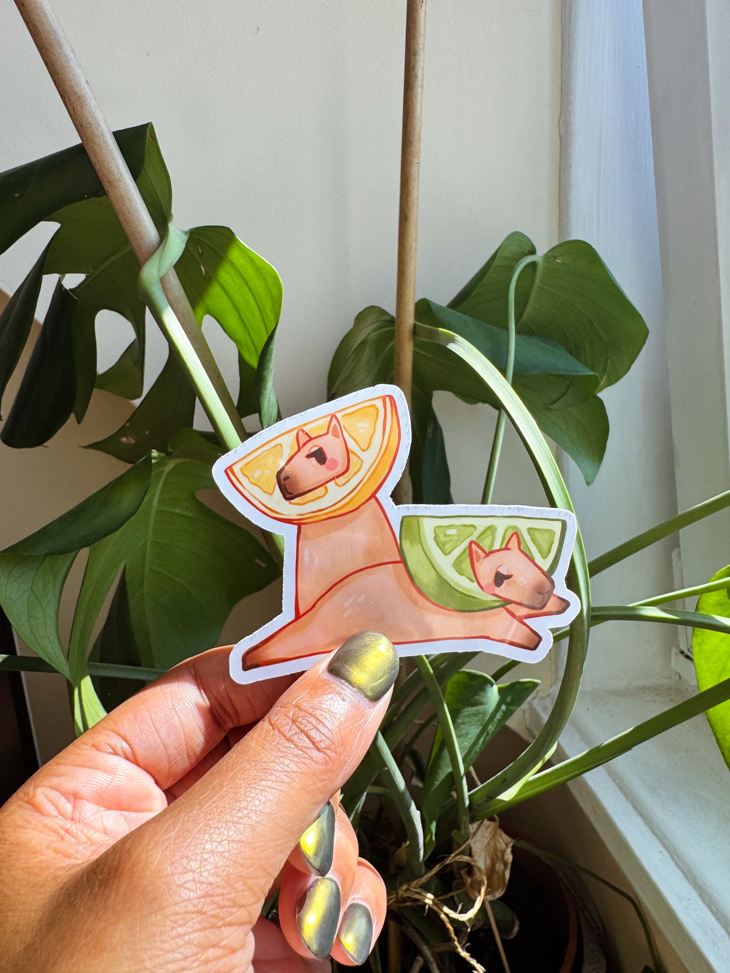 Fruity Snackybara Stickers
